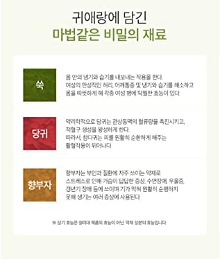 Sofy Vücut Fit GUİERANG Kore Bitkisel Hijyenik Pedler,Orta 9.8 inç(25 cm), 20 adet