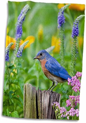 Çiçek Bahçesinde Çit Direğinde 3D Gül Doğu Mavi Kuşu Marion Co. IL TWL_205568_1 Havlu, 15 x 22