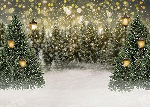 Kış Orman Manzara Fotoğrafçılığı Zemin Kar Noel Ağacı Yeşil Çam Ağaçları Karlı Wonderland fotoğraf arka fonu Noel Yeni Yıl Partisi